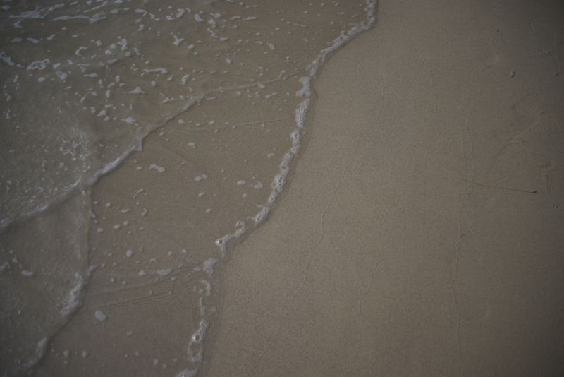 DSC_3400.jpg