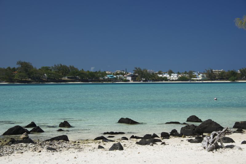 DSC_4609.jpg