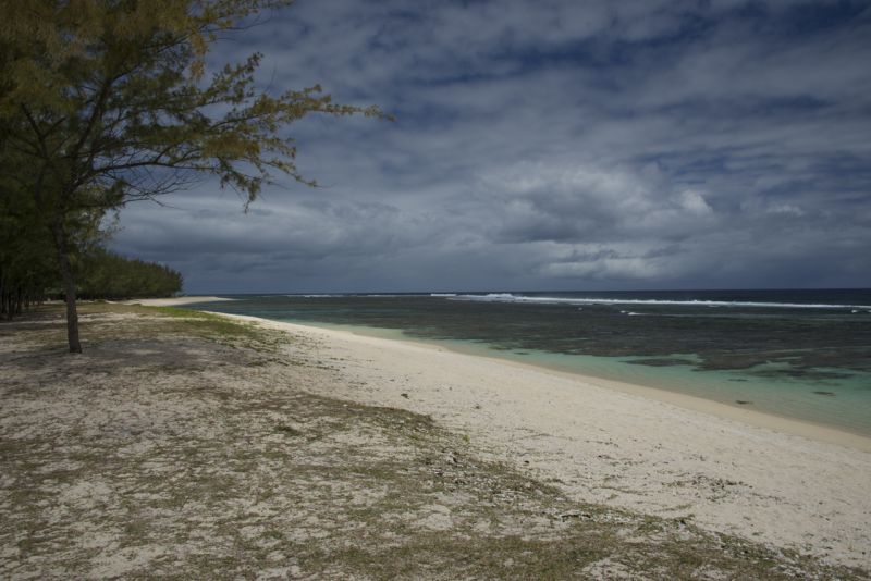 DSC_4881.jpg