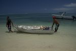 DSC_5816.jpg