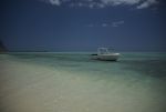 DSC_5856.jpg