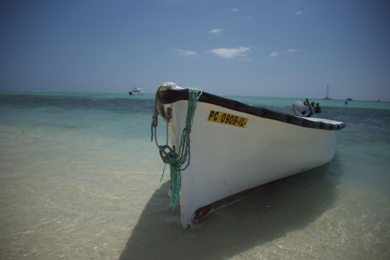 DSC_5895.jpg