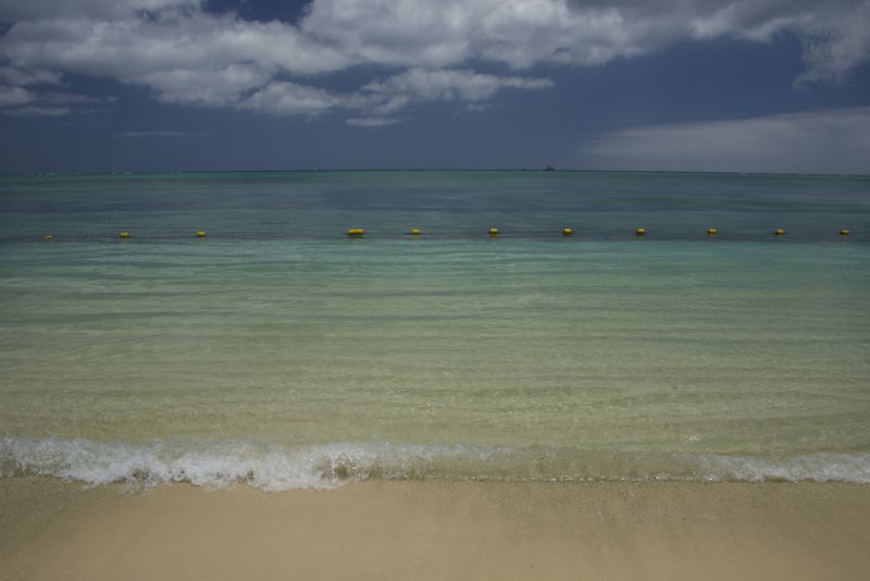 DSC_7125.jpg