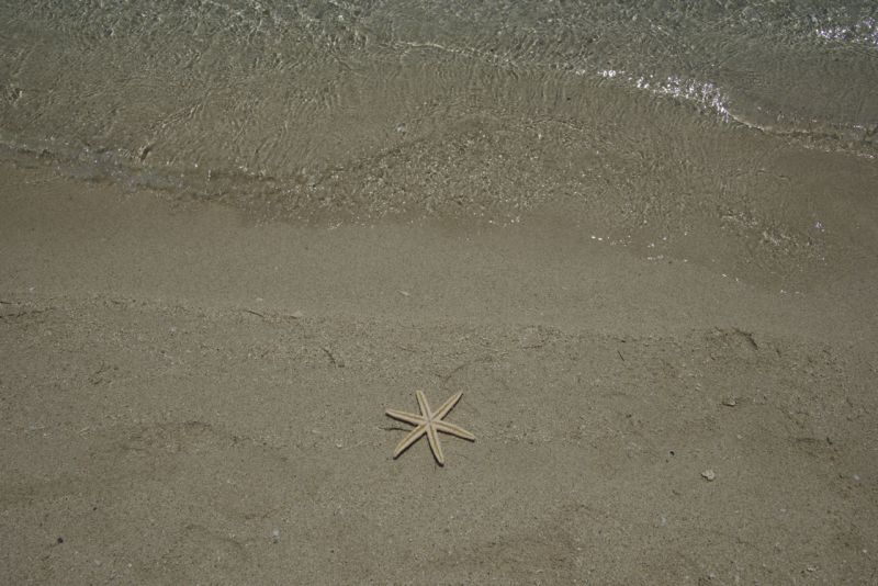 DSC_7252.jpg
