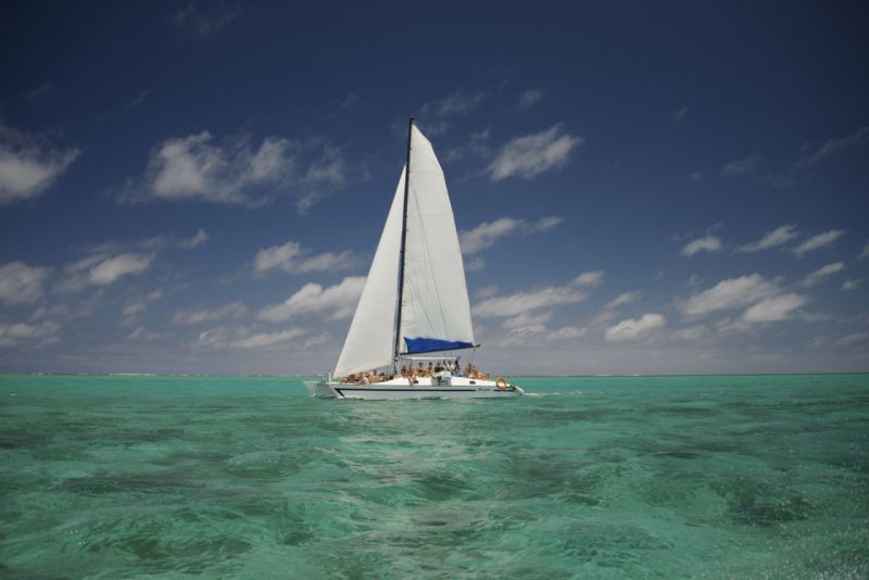 DSC_7353.jpg