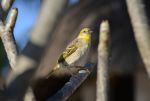 DSC_2572.jpg