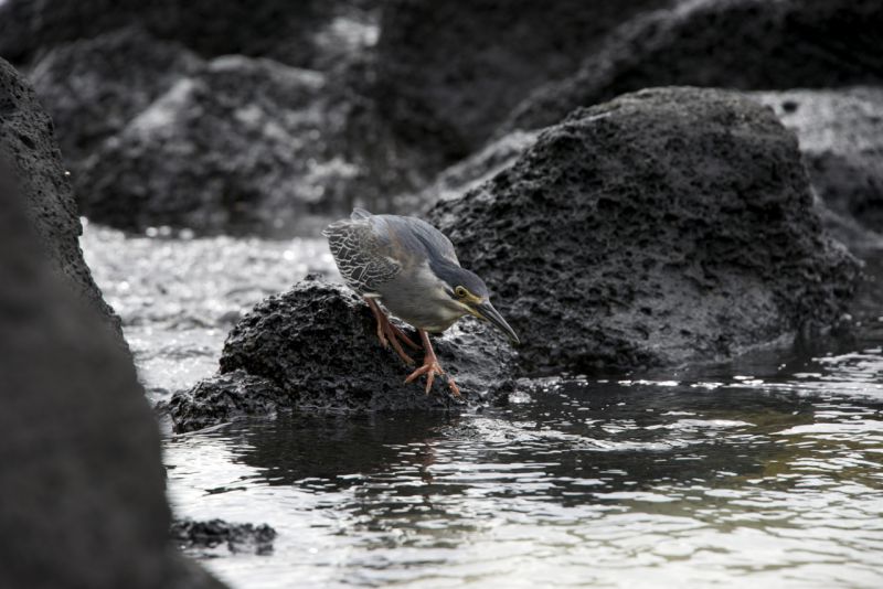 DSC_2651.jpg