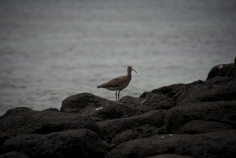DSC_2838.jpg