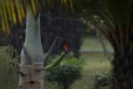 DSC_2883.jpg
