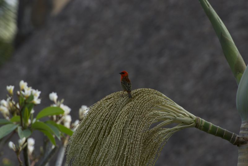 DSC_2889.jpg