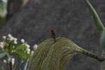 DSC_2889.jpg