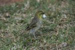 DSC_2902.jpg