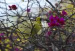 DSC_2917.jpg