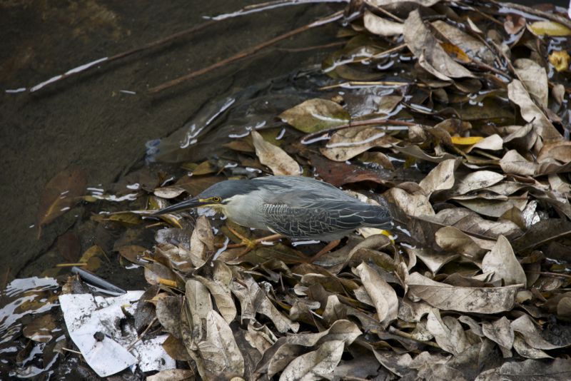DSC_3073.jpg