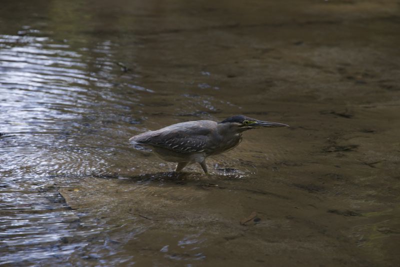 DSC_3215.jpg