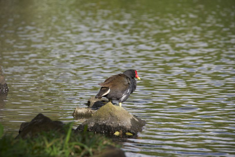 DSC_3321.jpg