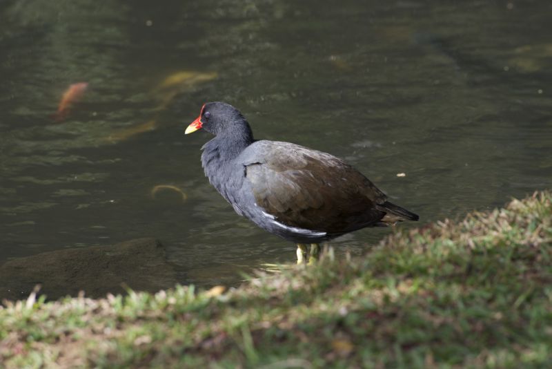 DSC_3369.jpg
