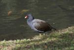 DSC_3369.jpg