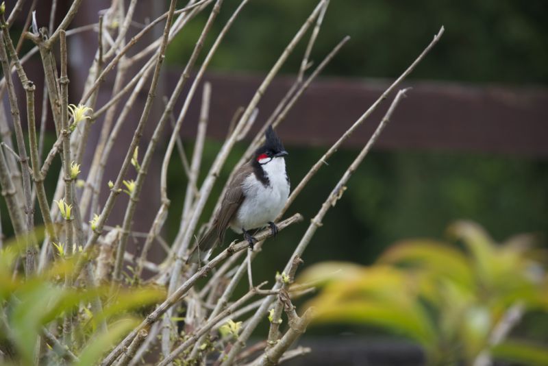 DSC_3733.jpg