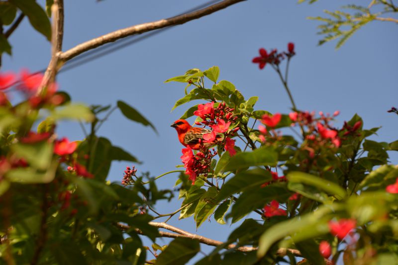 DSC_4025.jpg