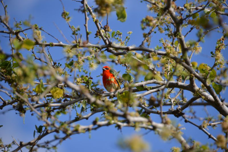 DSC_4027.jpg