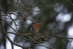 DSC_4190.jpg
