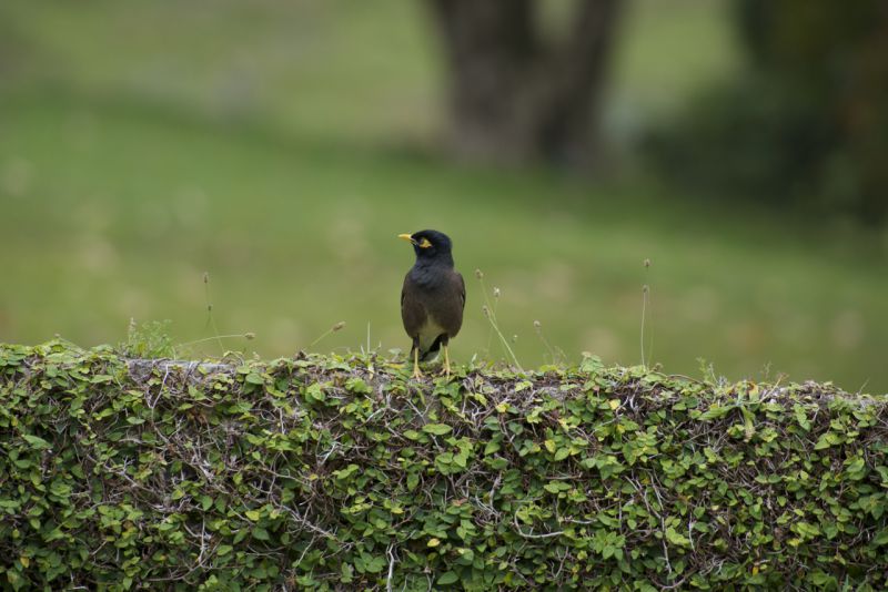 DSC_6389.jpg