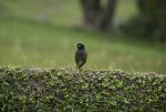 DSC_6389.jpg