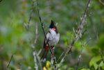 DSC_6664.jpg