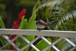 DSC_6678.jpg