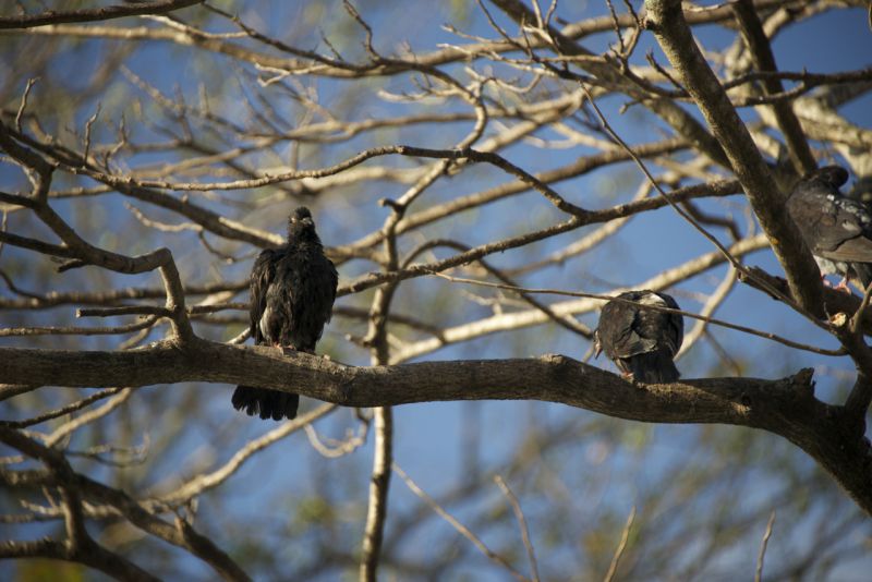 DSC_7431.jpg