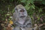 DSC_3637.jpg