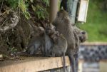 DSC_3677.jpg