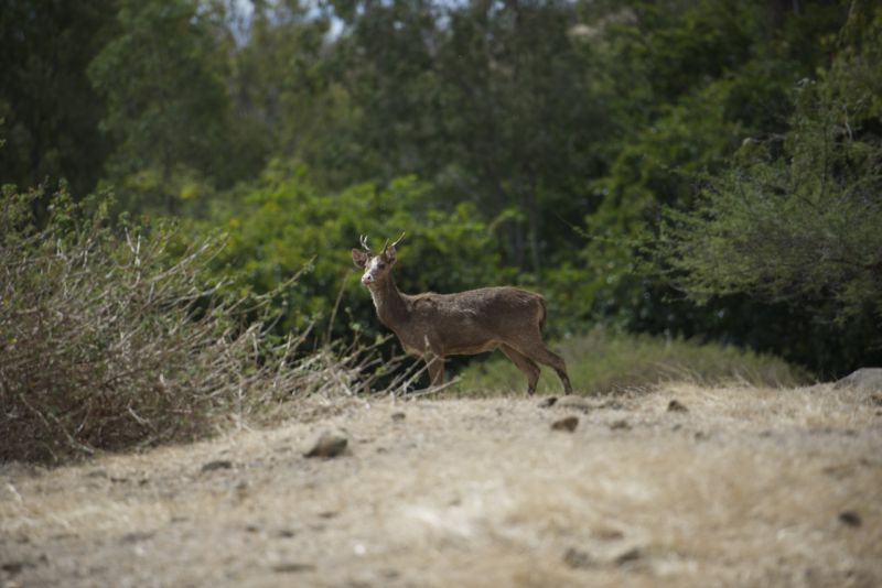 DSC_4349.jpg