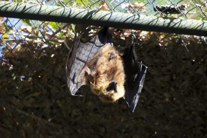 DSC_5106.jpg