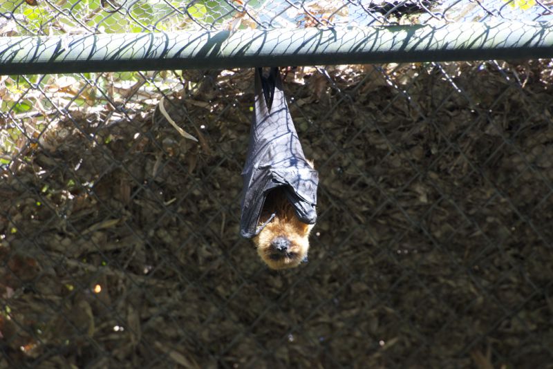 DSC_5138.jpg