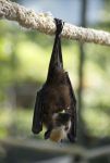 DSC_5156.jpg