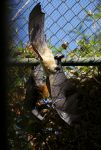 DSC_5177.jpg