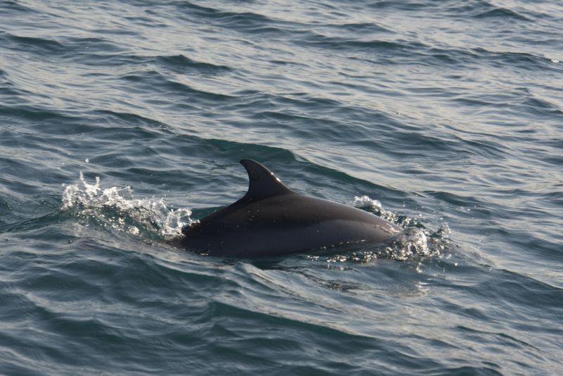 DSC_5614.jpg