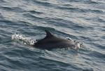 DSC_5614.jpg