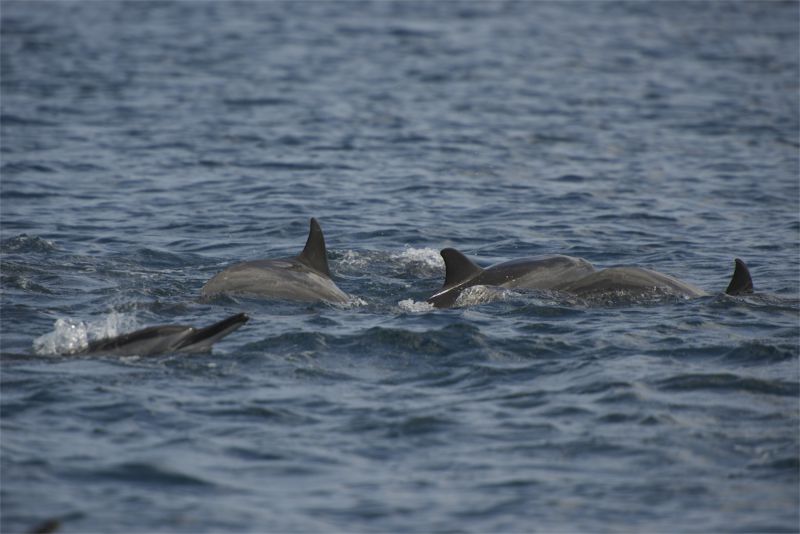 DSC_5753.jpg