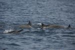 DSC_5753.jpg