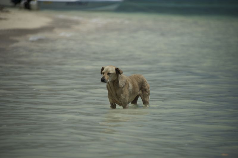 DSC_5859.jpg