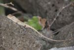 DSC_3436.jpg