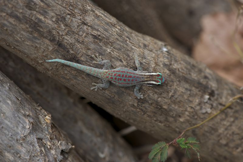 DSC_4266.jpg