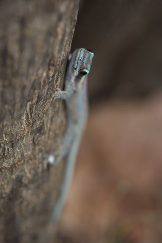 DSC_4281.jpg