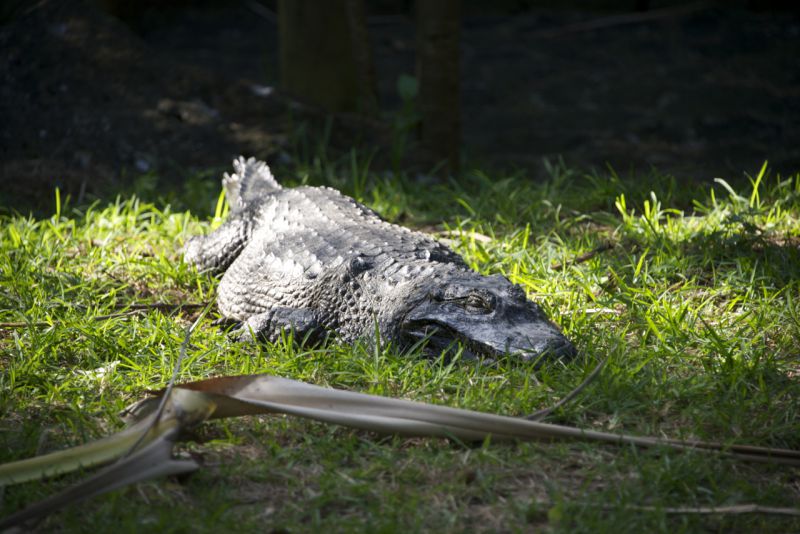 DSC_5168.jpg