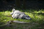 DSC_5168.jpg