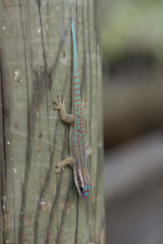 DSC_5333.jpg