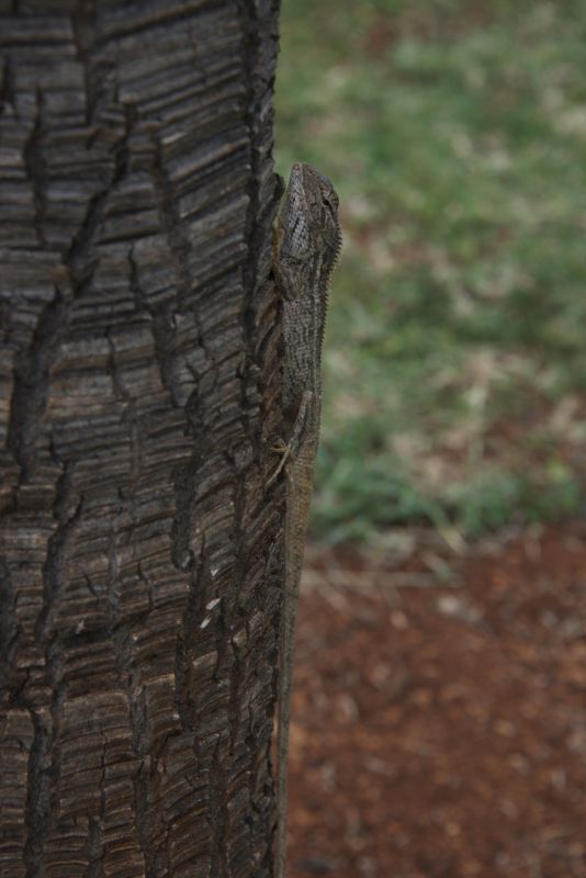 DSC_6540.jpg